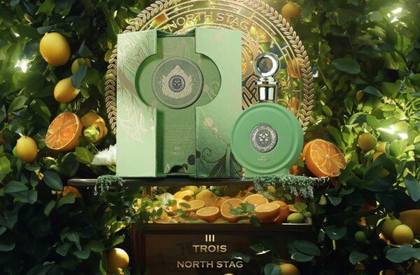 Paris Corner North Stag Trois III Expressions Eau de Parfum
